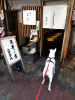 南　坂町辺り　高校の時はあった！当時は500円・・美味しい天丼です。